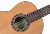 Ortega R19G Traditional Series gitara klasyczna 4/4